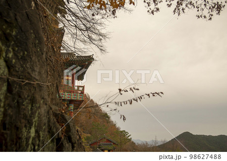 韓国 自然 風景 98627488