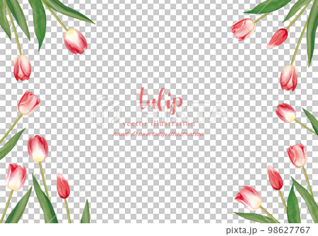 hand painted tulip watercolor frame 98627767