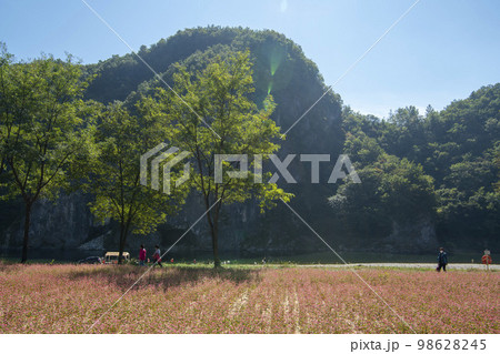 韓国 自然 風景 98628245