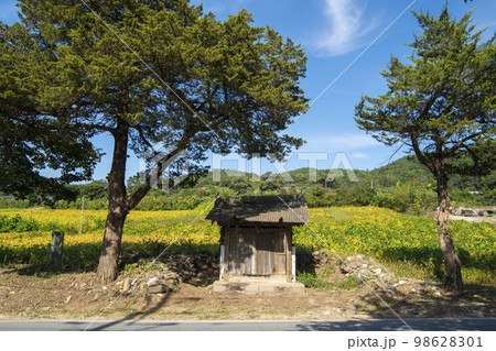 韓国 自然 風景 98628301