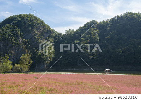 韓国 自然 風景 98628316