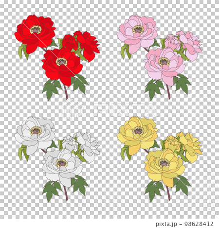 牡丹花一朵（輪廓） 98628412