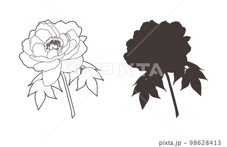 一輪の牡丹の花（線画＆シルエット） 98628413