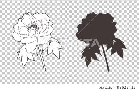 一輪の牡丹の花（線画＆シルエット） 98628413