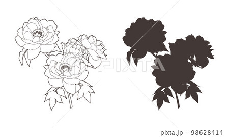 一株の牡丹の花（線画＆シルエット） 98628414