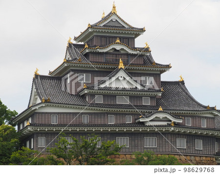 6月の岡山城 横位置 6月の岡山城 横位置 98629768