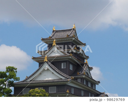 6月の岡山城　横位置 98629769