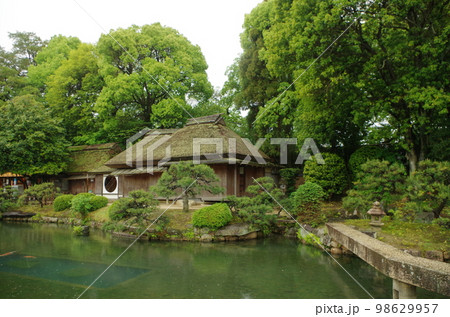 5月の雨の岡山後楽園　横位置 98629957