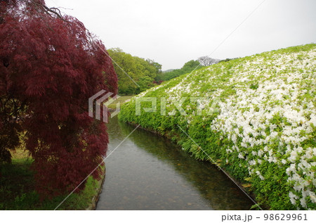 5月の雨の岡山後楽園 横位置 5月の雨の岡山後楽園 横位置 98629961