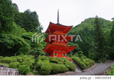 紫陽花咲く紫陽花咲く美作長福寺三重塔 紫陽花咲く紫陽花咲く美作長福寺三重塔 98630094