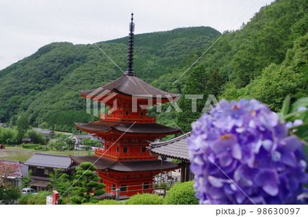 紫陽花咲く紫陽花咲く美作長福寺三重塔 98630097