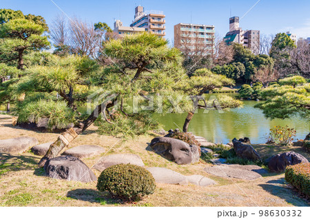 (東京都)清澄庭園 冬 (東京都)清澄庭園 冬 98630332