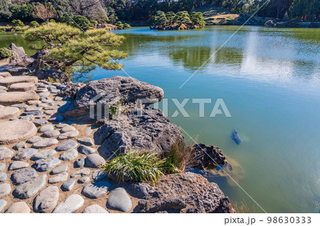 (東京都)清澄庭園 冬 (東京都)清澄庭園 冬 98630333
