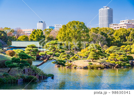 (東京都)清澄庭園 冬 (東京都)清澄庭園 冬 98630341
