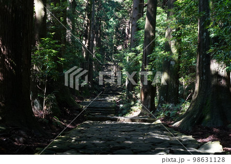 熊野古道、和歌山、熊野三山、くまのこどう、熊野那智大社、那智、なちたいしゃ、参詣道、熊野参詣道、紀伊 98631128