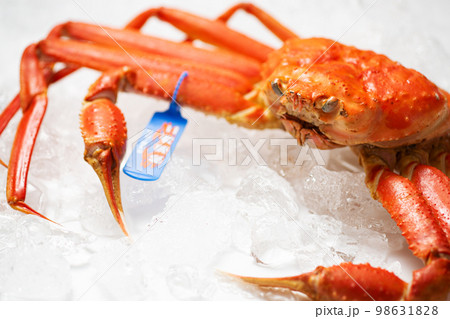 松葉ガニ タグ付き ズワイガニ 松葉ガニ タグ付き ズワイガニ 98631828