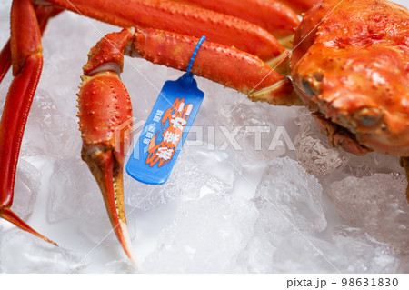 松葉ガニ タグ付き ズワイガニ 松葉ガニ タグ付き ズワイガニ 98631830