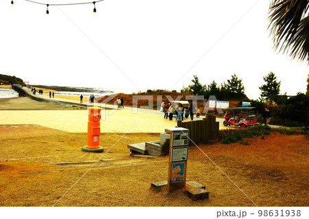 宮崎県宮崎市青島神社 98631938