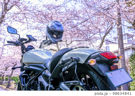 桜の木のトンネルのバイクツーリング　静岡県伊東市八幡野 98634841