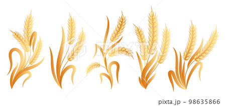 wheat vector free download