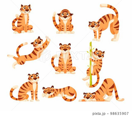 Adult Tiger with Striped Coat in Different Pose Vector Set 98635907
