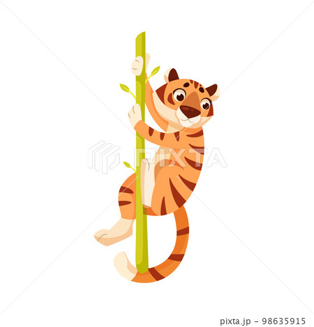 Adult Tiger with Striped Coat Climbing Bamboo Vector Illustration Adult Tiger with Striped Coat Climbing Bamboo Vector Illustration 98635915