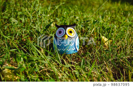 A toy of a surprised blue-colored owl with multi-colored eyes close-up stands in the middle of green grass in the light of the evening sun 98637095