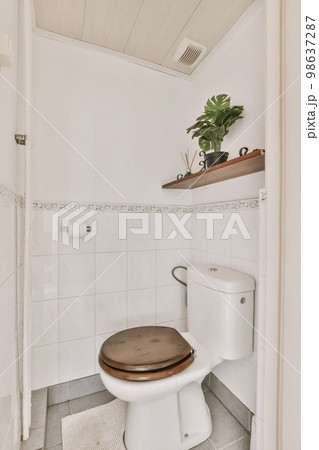 a small bathroom with a toilet and plant on the wall above the toilet is an open door that leads to another room a small bathroom with a toilet and plant on the wall above the toilet is an open door that leads to another room 98637287