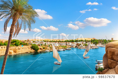 Aerial view on Aswan villages by the Nile behind the palm, Egypt Aerial view on Aswan villages by the Nile behind the palm, Egypt 98637670