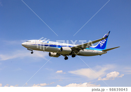 【大阪府】伊丹空港　大空を飛ぶ飛行機 98639843