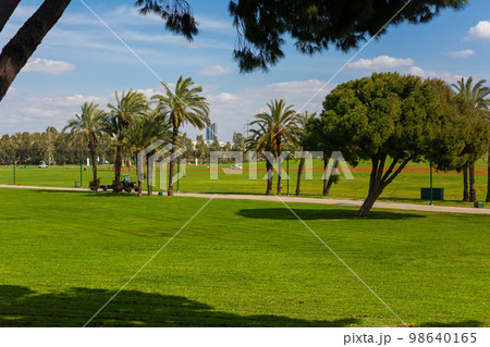 Green lawns of the city recreation park 98640165