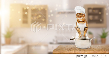 A cat in a chefs suit is in the kitchen. A cat in a chefs suit is in the kitchen. 98640603