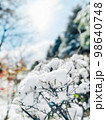 雪に覆われた木の枝 98640748