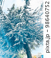 雪がたくさん降った後の針葉樹 98640752