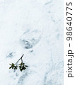 雪の上の足跡の近くに葉っぱ 98640775
