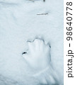 新雪の上に子供の手の跡 98640778