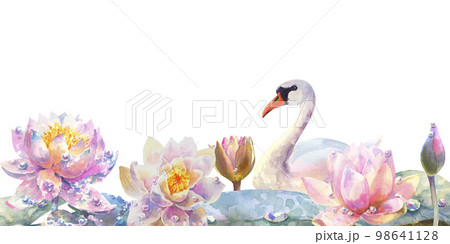 Water lily with swan. Greeting card with watercolor wild flowers on a white background. Lotus. illustration. 98641128