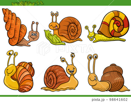 cartoon snails animal characters set cartoon snails animal characters set 98641602