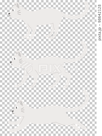 Set of white cat illustrations _ 1 _ white cat Set of white cat illustrations _ 1 _ white cat 98642128