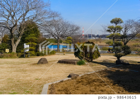 東京都葛飾区柴又公園2023年1月 98643615