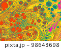 Abstract marble pattern with circle. Traditional art of Ebru marbling 98643698