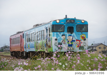 城端線 東野尻付近 コスモスとハットリくん気動車 98643996