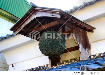 新酒を知らせる… 造り酒屋に掲げられた『杉玉』 98644008