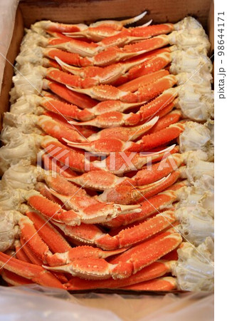 家族の集まる御正月に… 心置きなく食べ放題♪ 箱入り5kgのボイル済みズワイ蟹 98644171