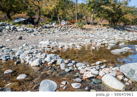 【オートキャンプ場沿いの道志川と紅葉】 98645961