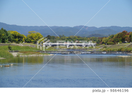 京都・賀茂川 京都・賀茂川 98646196