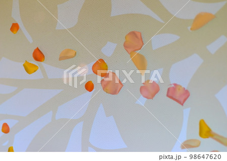 床に散らばったフラワーシャワー 床に散らばったフラワーシャワー 98647620