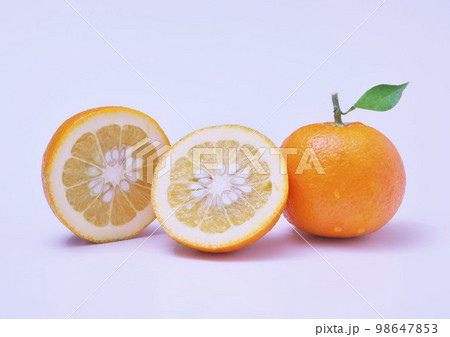 ダイダイ　半切り　白背景 98647853