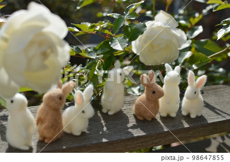 庭に咲く白いバラを見上げるフェルトのウサギたち　 　 98647855