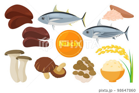 ナイアシンを含む食品のベクターイラスト。 98647860